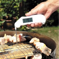 Termometro Gourmet a sonda pieghevole ARW-810